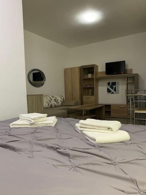Studio Central Mm Apartments Braşov Dış mekan fotoğraf